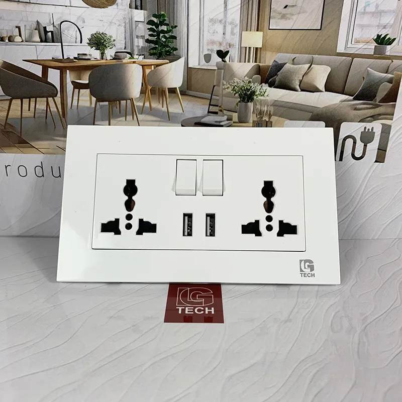 Ổ cắm điện đôi có cổng USB và công tắc LG Tech LG-F21-066