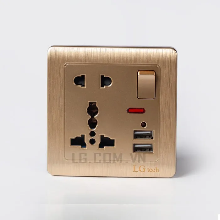 Mặt điện 5 chấu vuông có cổng USB Gold Plate LG tech LG-C60-029 - 2