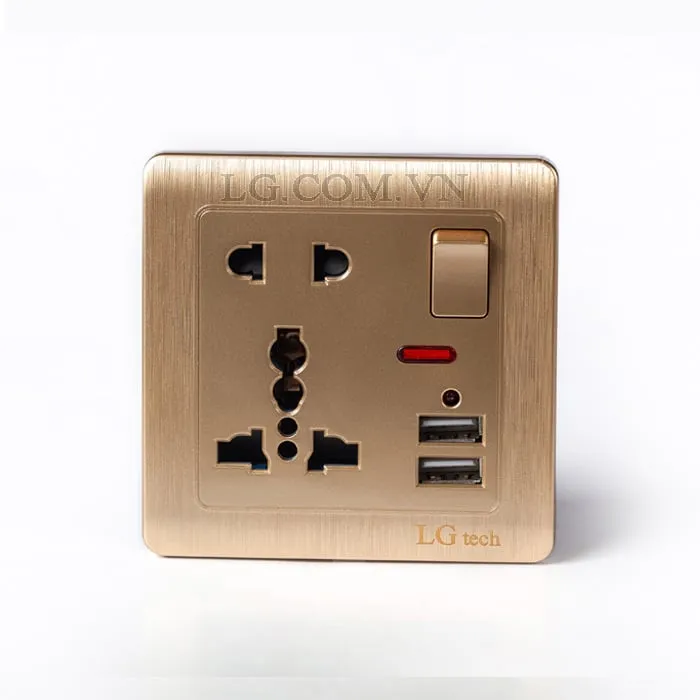 Mặt điện 5 chấu vuông có cổng USB Gold Plate LG tech LG-C60-029 - 5
