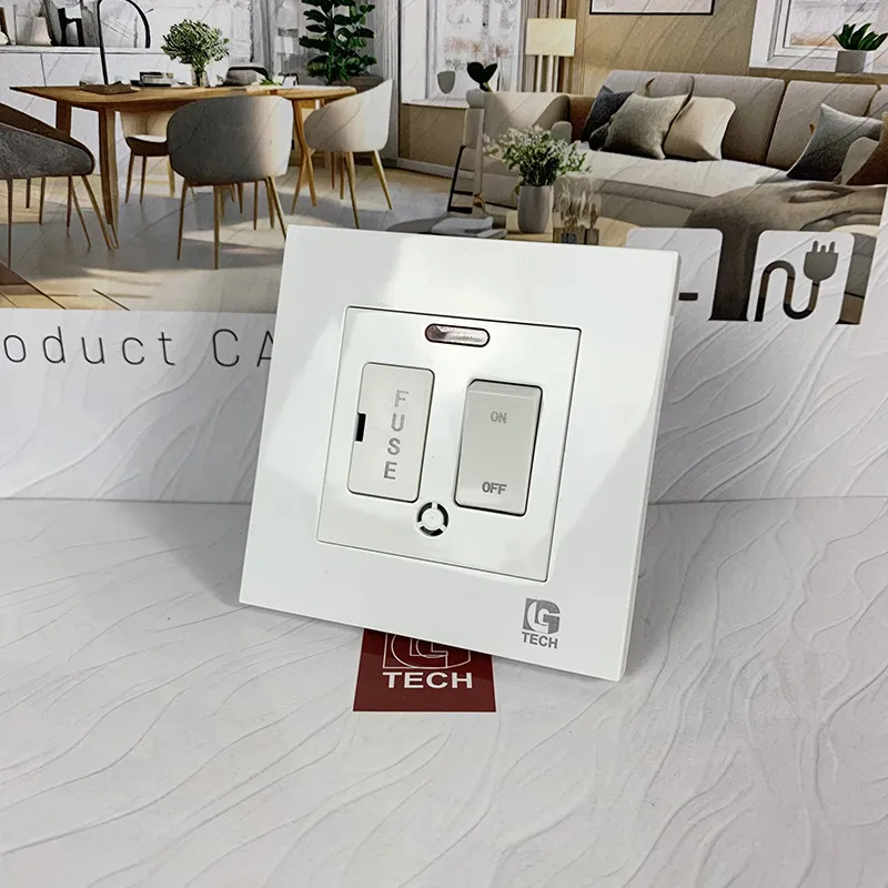 Công tắc có cầu chì 2 cực an toàn LG Tech LG-F21-112 - 4