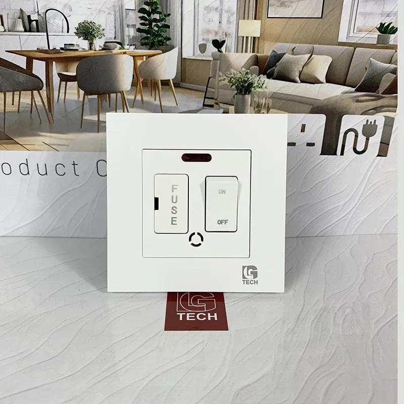 Công tắc có cầu chì 2 cực an toàn LG Tech LG-F21-112 - 2