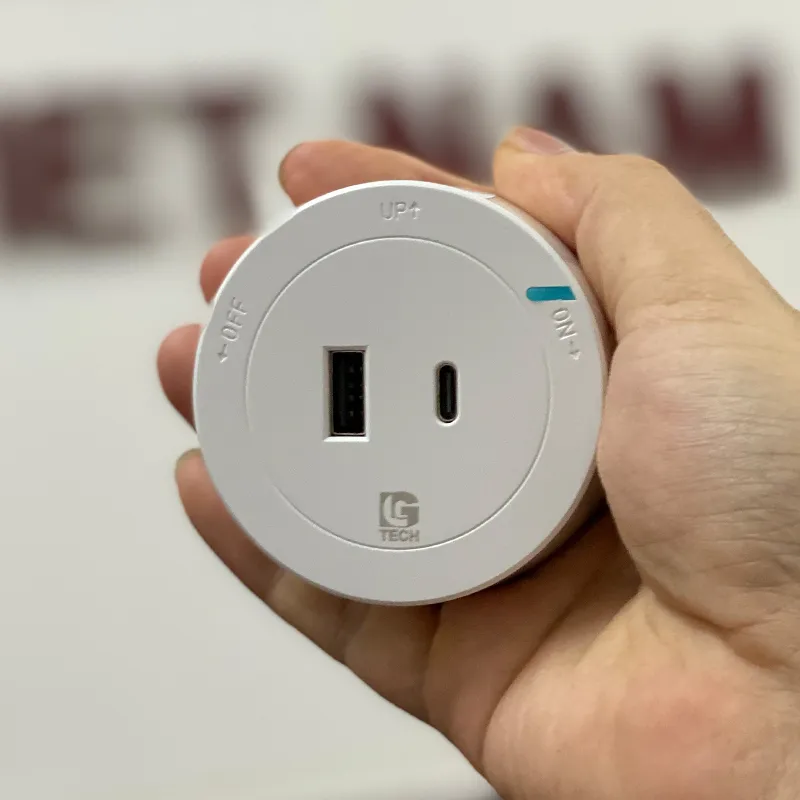 Mặt điện ray USB + Type C sạc nhanh 18W LG-GD15-06W - 2
